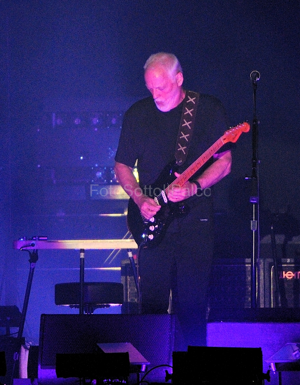 David_Gilmour (15)