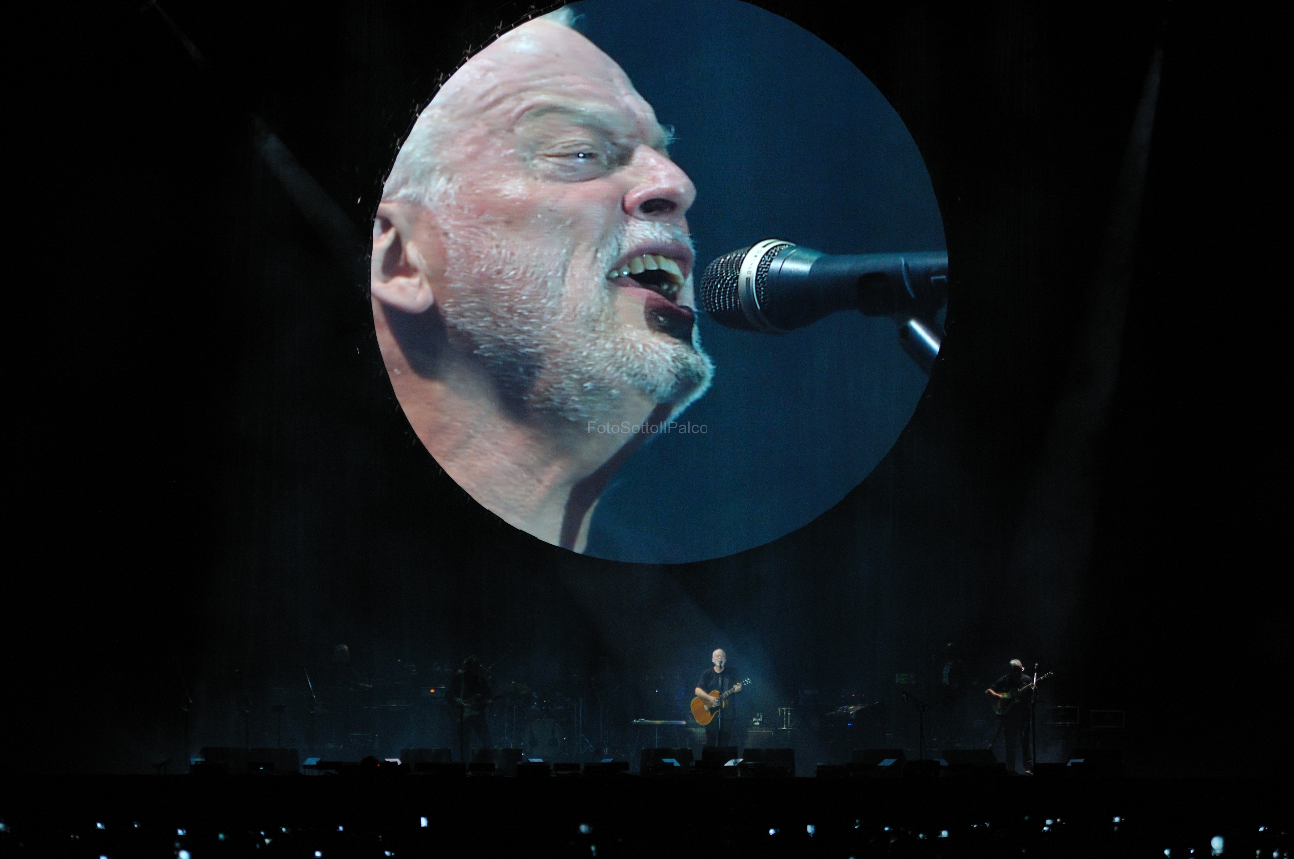 David_Gilmour (18)